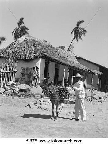 Stock Photo - 1930S Man Loading Wood Onto Back Of Burro Donkey In Village Acapulco Mexico . Fotosearch
