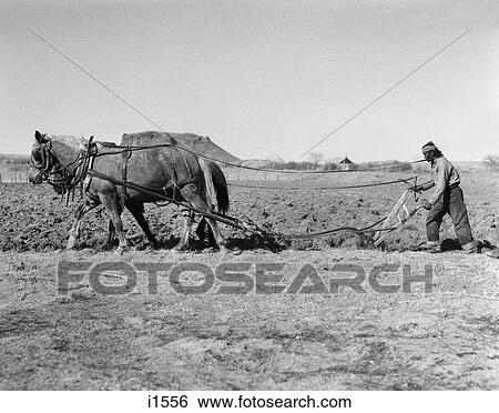 1930S Native American Indian Man Farmer Plowing Field With Horse Drawn Plow San Ildefonso Pueblo New Mexico Usa View Large Photo Image Stock Photograph - 1930S Native American Indian Man Farmer Plowing Field With Horse Drawn Plow San Ildefonso Pueblo New Mexico Usa. Fotosearch