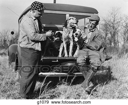1930S Two Men In Hunting Clothes Sitting Standing With English Setter Dogs On Back Of Woodie Station Wagon View Large Photo Image Stock Photo - 1930S Two Men In Hunting Clothes Sitting Standing With English Setter Dogs On Back Of Woodie Station Wagon. Fotosearch