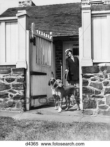 1930S Upscale Sporty Woman With Two Fox Hound Dogs On A Leash By Kennel Gate View Large Photo Image Stock Photography - 1930S Upscale Sporty Woman With Two Fox Hound Dogs On A Leash By Kennel Gate . Fotosearch