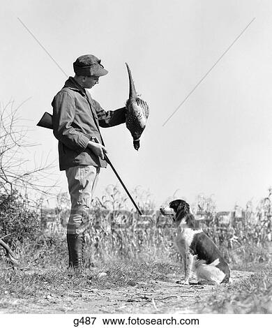 Stock Photo - 1940s YOUNG MAN HUNTER WITH SHOTGUN AND HUNTING DOG HOLDING BIRD PHEASANT. Fotosearch