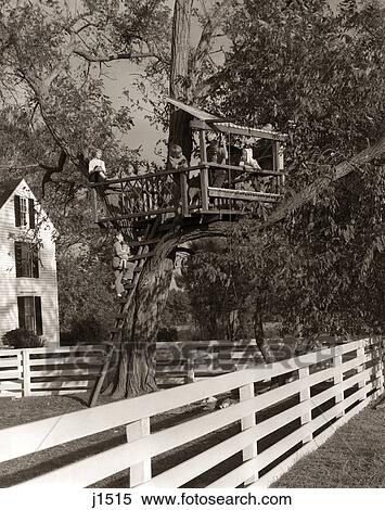1950s 1960s CHILDREN PLAYING IN TREE HOUSE IN FENCED WOODED BACKYARD View Large Photo Image Stock Photography - 1950s 1960s CHILDREN PLAYING IN TREE HOUSE IN FENCED WOODED BACKYARD. Fotosearch