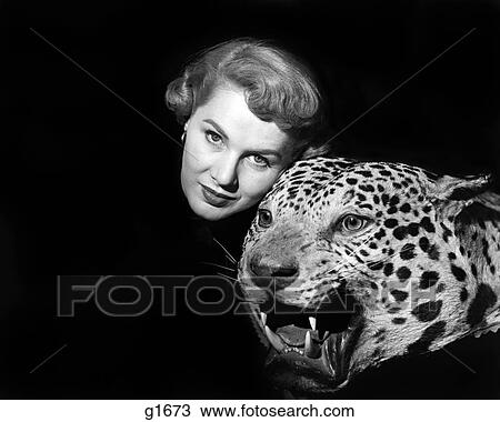 1950s DRAMATIC FACE SHOT WOMAN LOOKING AT CAMERA POSING WITH FIERCE STUFFED LEOPARD HEAD View Large Photo Image Stock Image - 1950s DRAMATIC FACE SHOT WOMAN LOOKING AT CAMERA POSING WITH FIERCE STUFFED LEOPARD HEAD. Fotosearch