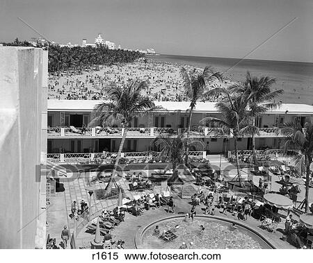 1950s ELEVATED VIEW OF HOTEL SWIMMING POOL PALM TREES MIAMI BEACH FLORIDA USA View Large Photo Image Stock Photography - 1950s ELEVATED VIEW OF HOTEL SWIMMING POOL PALM TREES MIAMI BEACH FLORIDA USA. Fotosearch