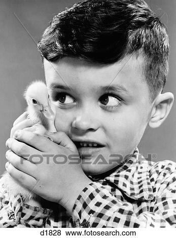 1950s LITTLE BOY HOLDING TINY PET DUCKLING UP TO HIS FACE View Large Photo Image Stock Photo - 1950s LITTLE BOY HOLDING TINY PET DUCKLING UP TO HIS FACE. Fotosearch