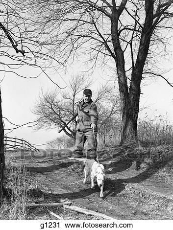 1950S Man Hunter With Shotgun And English Setter Dog On Leash View Large Photo Image Stock Image - 1950S Man Hunter With Shotgun And English Setter Dog On Leash. Fotosearch