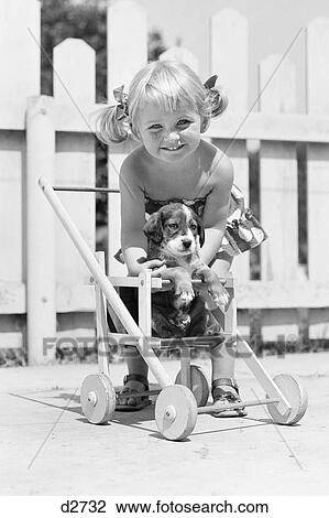1950s SMILING GIRL WITH BLONDE PIGTAILS LOOKING AT CAMERA PUTTING SPRINGER SPANIEL DOG PUPPY INTO DOLL BABY CARRIAGE View Large Photo Image Stock Image - 1950s SMILING GIRL WITH BLONDE PIGTAILS LOOKING AT CAMERA PUTTING SPRINGER SPANIEL DOG PUPPY INTO DOLL BABY CARRIAGE. Fotosearch