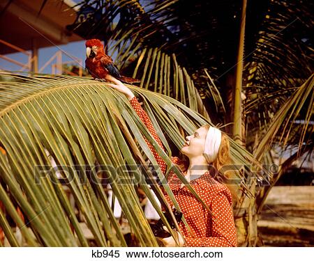 Stock Photography - 1950s WOMAN HOLDING CAMERA TOUCHING PARROT IN A PALM TREE. Fotosearch