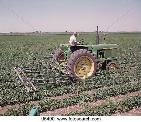 Stock Image - 1960s 1970s MAN FARMER RIDING DRIVING TRACTOR CULTIVATING SOYBEANS. Fotosearch