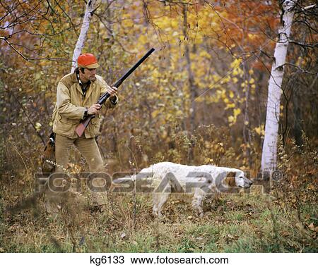 1960s 1970s MAN HUNTER WITH SHOTGUN IN AUTUMN LANDSCAPE PHEASANT HUNTING WITH ENGLISH SETTER GUN DOG ON POINT View Large Photo Image Stock Image - 1960s 1970s MAN HUNTER WITH SHOTGUN IN AUTUMN LANDSCAPE PHEASANT HUNTING WITH ENGLISH SETTER GUN DOG ON POINT. Fotosearch