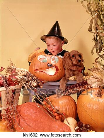 1960s EXCITED BOY WEARING BLACK WITCH COSTUME HAT LOOKING INTO CARVED PUMPKIN JACK-O-LANTERN View Large Photo Image Stock Image - 1960s EXCITED BOY WEARING BLACK WITCH COSTUME HAT LOOKING INTO CARVED PUMPKIN JACK-O-LANTERN. Fotosearch