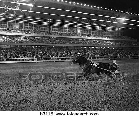 1960s HARNESS HORSE RACING AT NIGHT LONG ISLAND NEW YORK USA View Large Photo Image Stock Photograph - 1960s HARNESS HORSE RACING AT NIGHT LONG ISLAND NEW YORK USA. Fotosearch