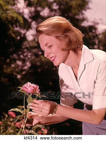 Picture - 1960s SMILING WOMAN IN WHITE BLOUSE TENDING PINK PEONY IN FLOWER GARDEN. Fotosearch
