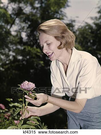Stock Photography - 1960s SMILING WOMAN IN WHITE BLOUSE TENDING PINK PEONY IN FLOWER GARDEN. Fotosearch
