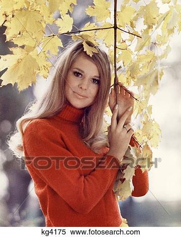 1960s YOUNG WOMAN LOOKING AT CAMERA WEARING PRETTY RED FASHION STYLE TURTLENECK SWEATER HOLDING BRANCH OF AUTUMN LEAVES View Large Photo Image Stock Photography - 1960s YOUNG WOMAN LOOKING AT CAMERA WEARING PRETTY RED FASHION STYLE TURTLENECK SWEATER HOLDING BRANCH OF AUTUMN LEAVES. Fotosearch