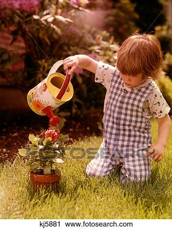 1970s BOY TODDLER WEARING BLUE CHECKED JUMPSUIT TOY WATERING CAN KNEELING GRASS WATERING RED FLOWERS IN POT View Large Photo Image Stock Image - 1970s BOY TODDLER WEARING BLUE CHECKED JUMPSUIT TOY WATERING CAN KNEELING GRASS WATERING RED FLOWERS IN POT. Fotosearch
