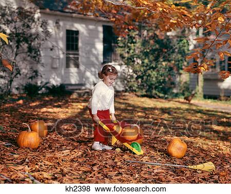Stock Photo - 1970s GIRL IN FALL YARD MOVING PUMPKINS IN TOY WHEELBARROW. Fotosearch