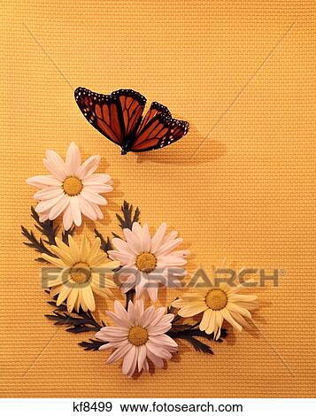 1970S Style Seasonal Still Life Daisies Butterfly Yellow Woven Background View Large Photo Image Stock Photo - 1970S Style Seasonal Still Life Daisies Butterfly Yellow Woven Background. Fotosearch