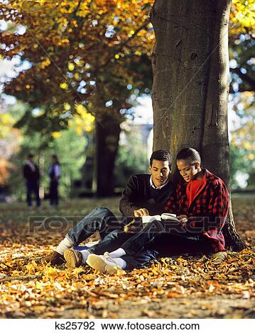 1980s AFRICAN AMERICAN COUPLE STUDYING UNDER TREE ON CAMPUS AUTUMN LEAVES View Large Photo Image Stock Image - 1980s AFRICAN AMERICAN COUPLE STUDYING UNDER TREE ON CAMPUS AUTUMN LEAVES. Fotosearch