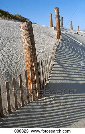 1980s SAND DUNE STABILIZATION FENCE ISLAND BEACH STATE PARK NEW JERSEY USA View Large Photo Image Stock Image - 1980s SAND DUNE STABILIZATION FENCE ISLAND BEACH STATE PARK NEW JERSEY USA. Fotosearch
