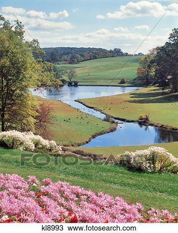 AUTUMN CROCUS IN FOREGROUND WINTERTHUR GARDEN DELAWARE View Large Photo Image Stock Image - AUTUMN CROCUS IN FOREGROUND WINTERTHUR GARDEN DELAWARE. Fotosearch