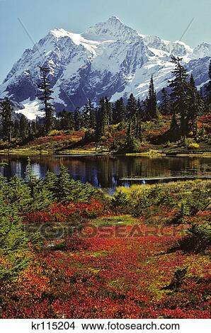AUTUMN IN HEATHER MEADOWS SUMMIT PYRAMID MOUNT SHUKSAN NORTH CASCADES NATIONAL PARK WHATCOM COUNTY WA USA View Large Photo Image Picture - AUTUMN IN HEATHER MEADOWS SUMMIT PYRAMID MOUNT SHUKSAN NORTH CASCADES NATIONAL PARK WHATCOM COUNTY WA USA. Fotosearch