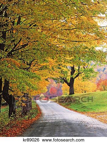 Autumn Path Near East Orange Vermont Usa View Large Photo Image Stock Photograph - Autumn Path Near East Orange Vermont Usa. Fotosearch