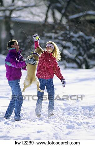 Couple With Jumping Dog Playing In The Snow View Large Photo Image Stock Photo - Couple With Jumping Dog Playing In The Snow. Fotosearch