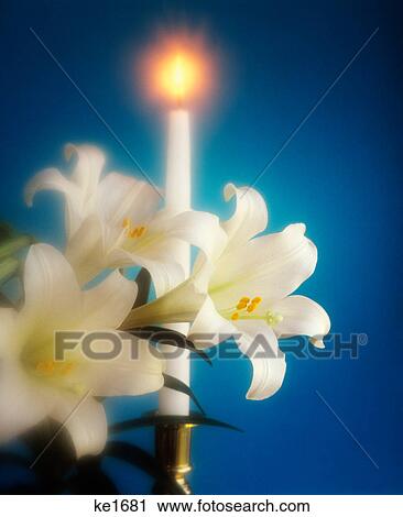 EASTER LILIES AND WHITE CANDLE SOFT FOCUS View Large Photo Image Stock Image - EASTER LILIES AND WHITE CANDLE SOFT FOCUS. Fotosearch