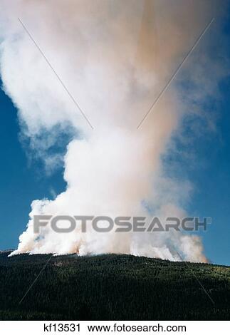 Stock Image - Forest Fire Column Of Smoke Revelstoke British Columbia Canada . Fotosearch