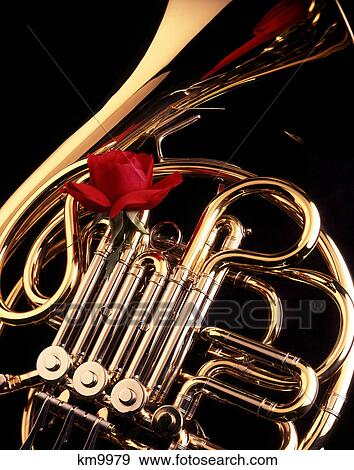 Stock Photo - SHINING BRASS FRENCH HORN WITH SINGLE RED ROSE. Fotosearch