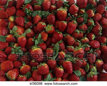 STRAWBERRIES View Large Photo Image Stock Photo - STRAWBERRIES. Fotosearch