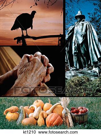 Thanksgiving Montage Turkey Hands Prayer Pumpkins Gourds Pilgrim Statue View Large Photo Image Stock Image - Thanksgiving Montage Turkey Hands Prayer Pumpkins Gourds Pilgrim Statue. Fotosearch