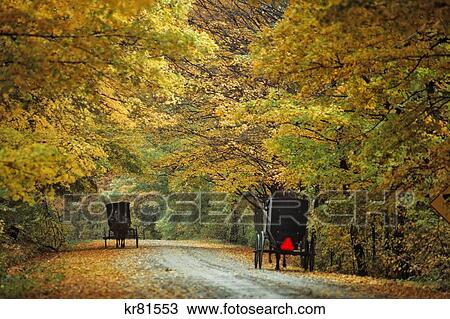 Two Amish Buggies On Autumn Country Lane Lancaster County Pennsylvania Usa View Large Photo Image Stock Image - Two Amish Buggies On Autumn Country Lane Lancaster County Pennsylvania Usa. Fotosearch