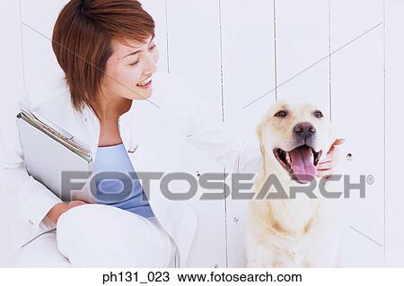 Asian Woman holding a Laptop and dog View Large Photo Image Stock Image - Asian Woman holding a Laptop and dog. Fotosearch