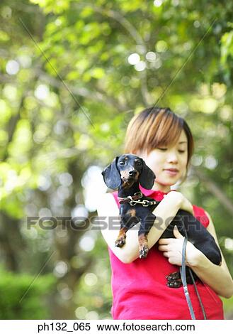 Young woman carrying a pet dog View Large Photo Image Stock Photography - Young woman carrying a pet dog. Fotosearch