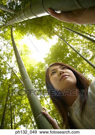 Young woman holding bamboo tree View Large Photo Image Stock Photo - Young woman holding bamboo tree. Fotosearch