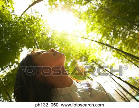 Young woman in a forest looking up View Large Photo Image Stock Image - Young woman in a forest looking up. Fotosearch