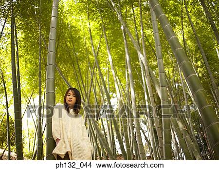 Young woman leaning against a bamboo tree View Large Photo Image Picture - Young woman leaning against a bamboo tree. Fotosearch
