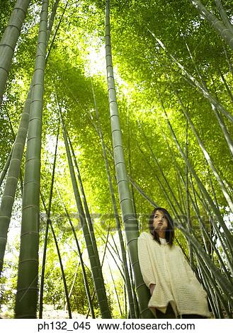 Young woman leaning against a bamboo tree View Large Photo Image Stock Photography - Young woman leaning against a bamboo tree. Fotosearch