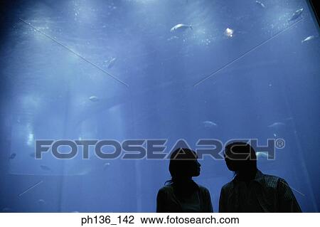 Silhouette of a young couple standing by an aquarium View Large Photo Image Stock Image - Silhouette of a young couple standing by an aquarium. Fotosearch