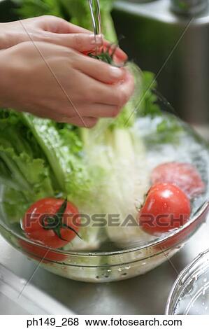 Close-up of a person cleaning tomatoes View Large Photo Image Stock Photo - Close-up of a person cleaning tomatoes. Fotosearch