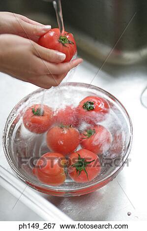 Close-up of a person's hand cleaning a tomato View Large Photo Image Stock Photo - Close-up of a person's hand cleaning a tomato. Fotosearch