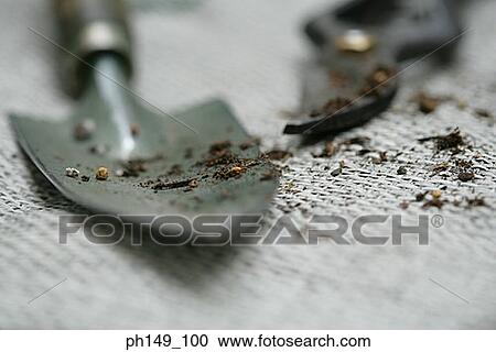 Close-up of a trowel and a pair of pruning shears View Large Photo Image Stock Image - Close-up of a trowel and a pair of pruning shears. Fotosearch