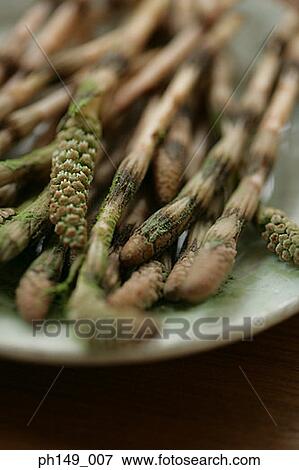 Close-up of asparaguses in a plate View Large Photo Image Stock Photo - Close-up of asparaguses in a plate. Fotosearch