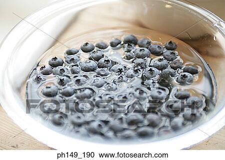 Close-up of blueberries with water in a bowl View Large Photo Image Stock Image - Close-up of blueberries with water in a bowl. Fotosearch