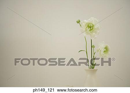 Close-up of flowers in a flower vase View Large Photo Image Stock Image - Close-up of flowers in a flower vase. Fotosearch