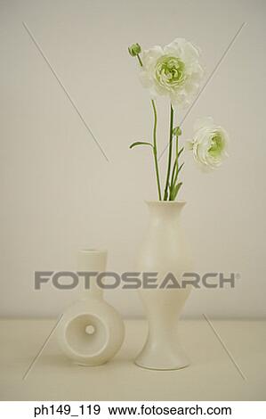 Close-up of flowers in a flower vase and an empty vase View Large Photo Image Stock Photo - Close-up of flowers in a flower vase and an empty vase. Fotosearch
