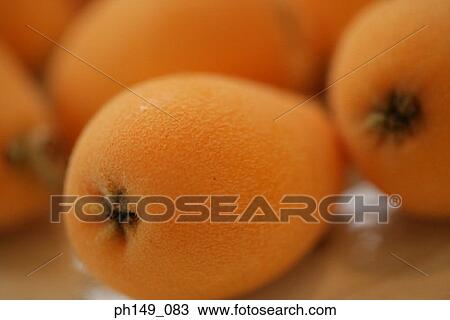 Close-up of ripe loquats View Large Photo Image Stock Image - Close-up of ripe loquats. Fotosearch