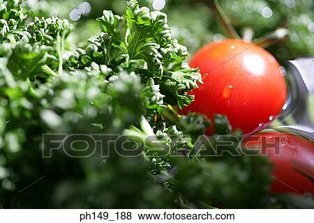 Close-up of tomatoes and parsley View Large Photo Image Stock Photo - Close-up of tomatoes and parsley. Fotosearch